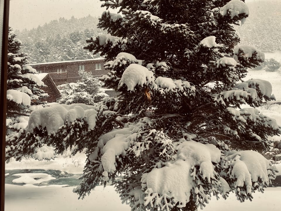 View from property