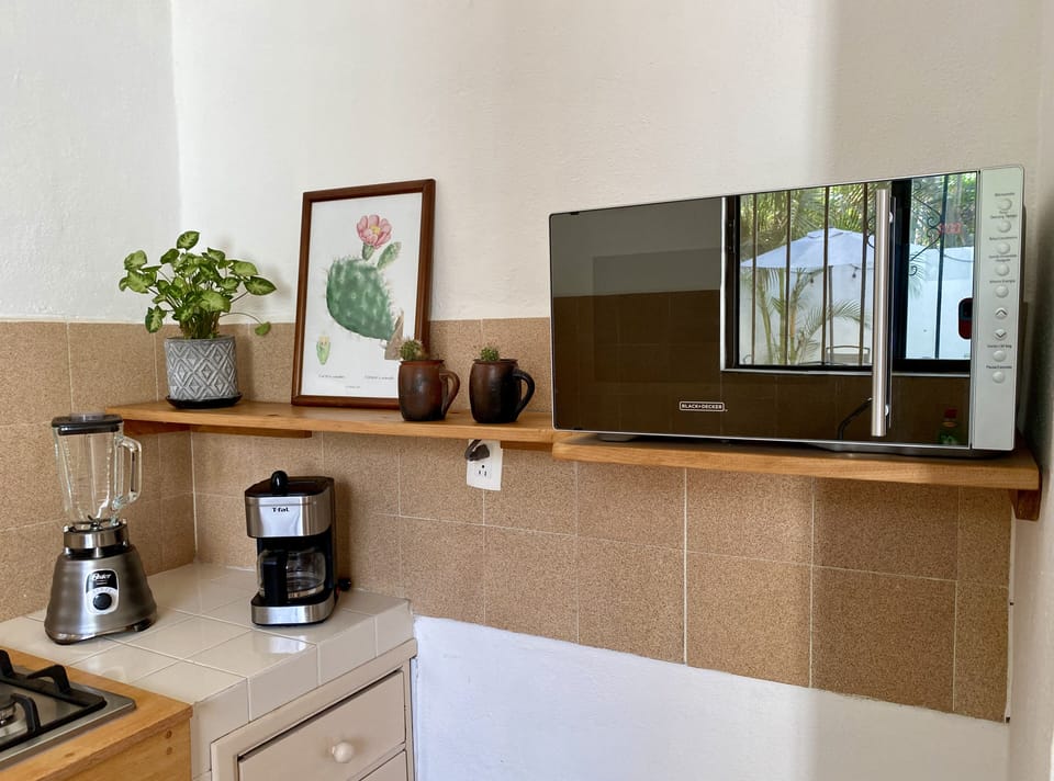 Kitchen equipped with all the basics for cooking.