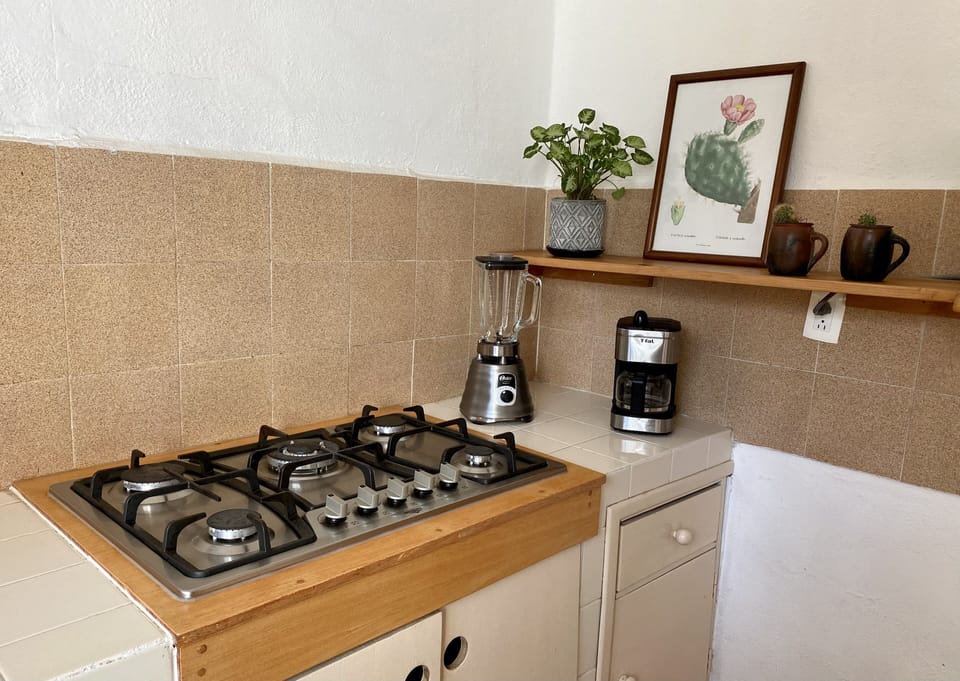 Kitchen equipped with all the basics for cooking.