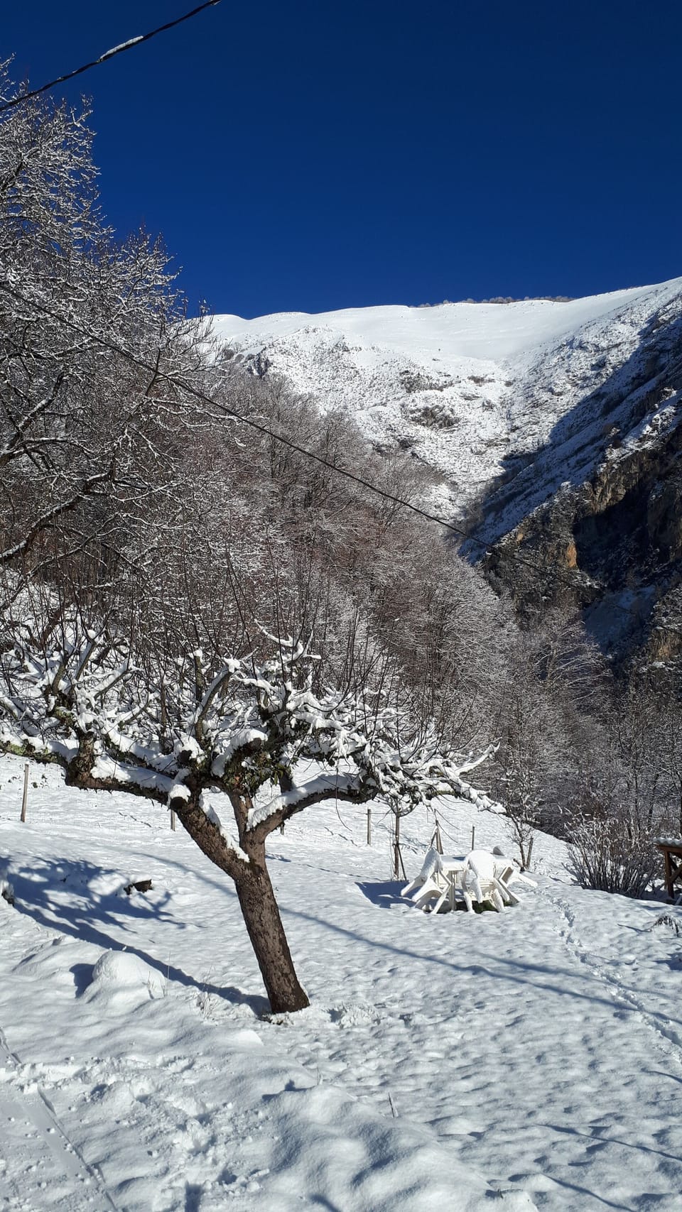 Snow and ski sports