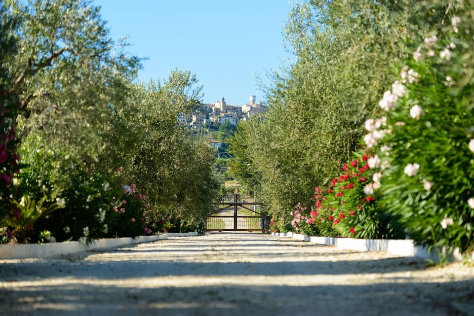 Garden, Outdoor, Scenic View