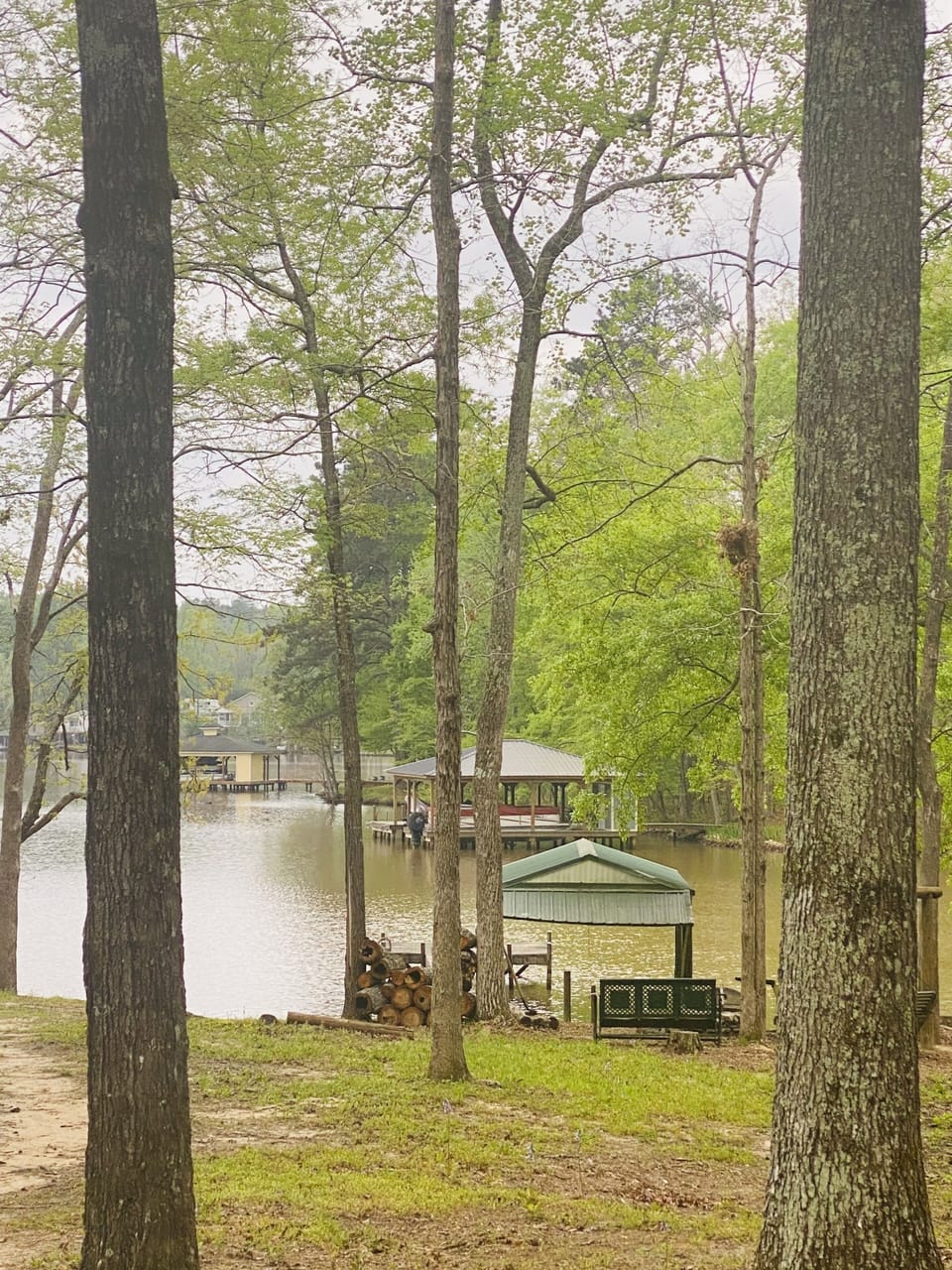 Looking at lake from house