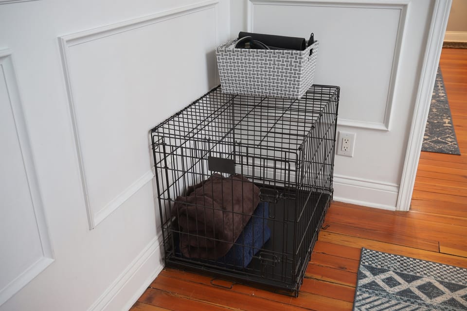 A Safe Space For Your Dog