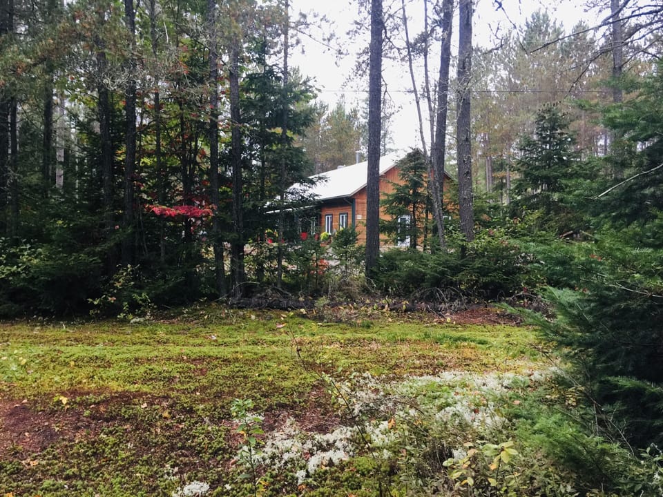 Cozy Suite 15 min away from Mt Tremblant. Pet Friendly Apartment hotel in Mont-Tremblant