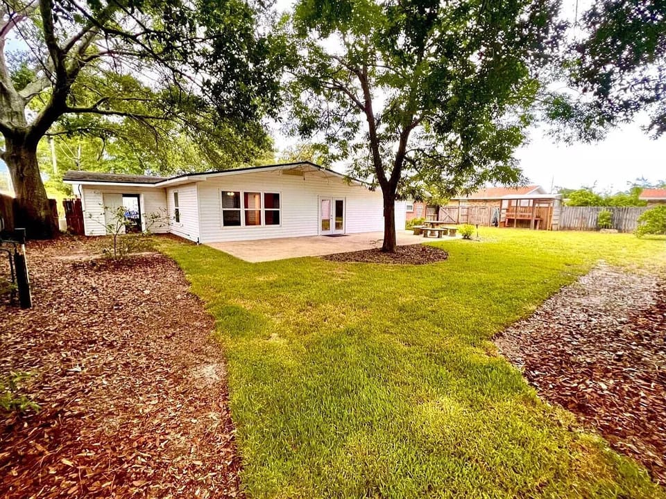 Back yard 