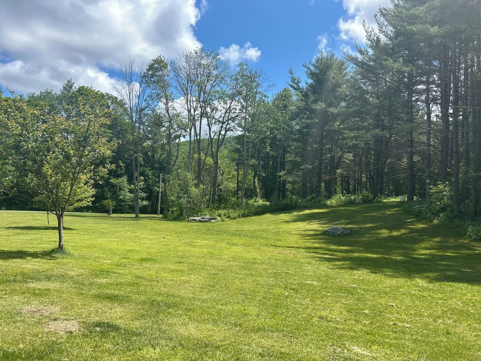 Looking up at the 'upper 40' as we like to call it.