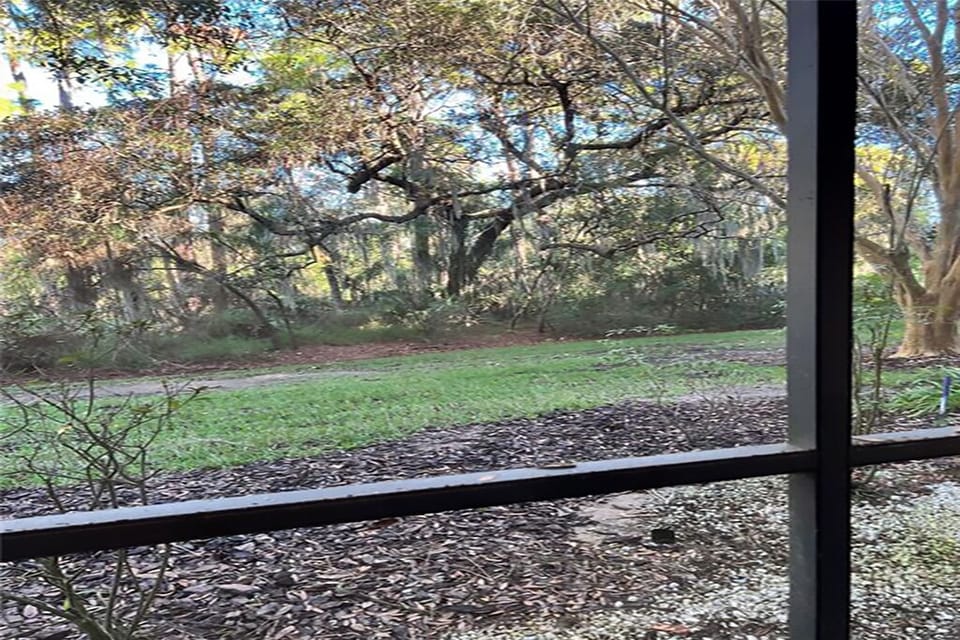Patio view
