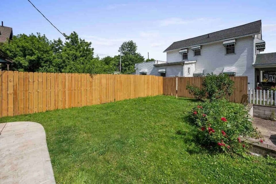 Shared backyard