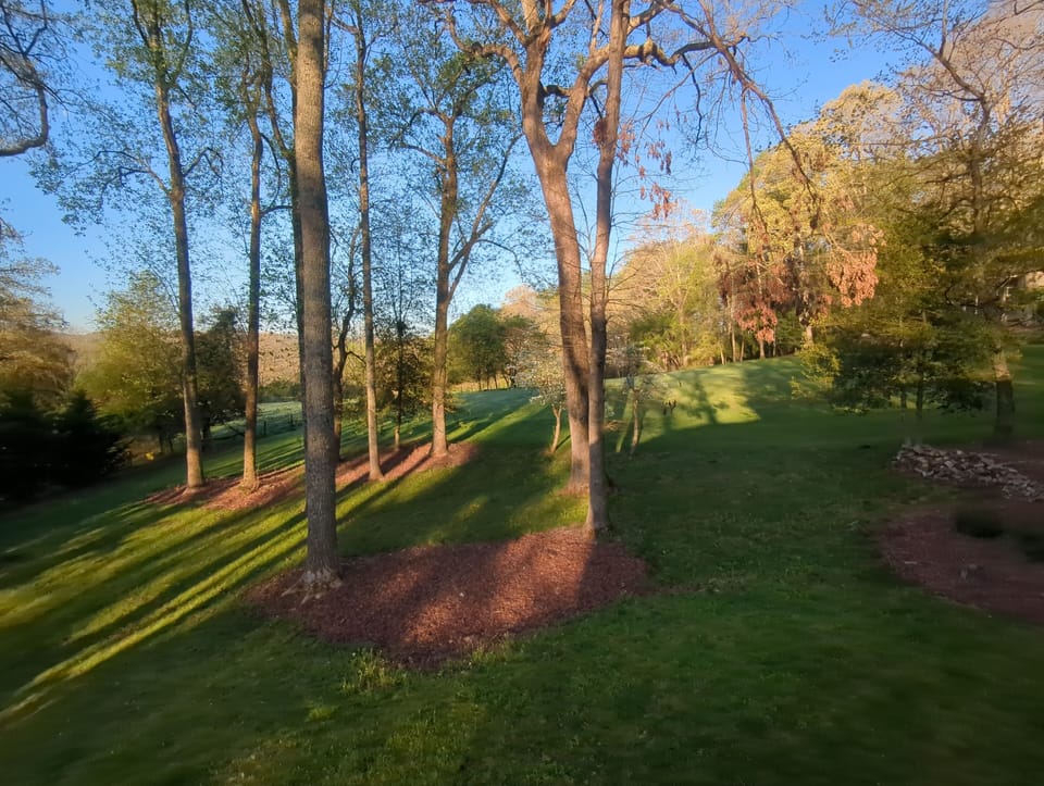 morning view off back deck