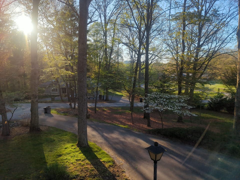 view from side deck off breakfast room