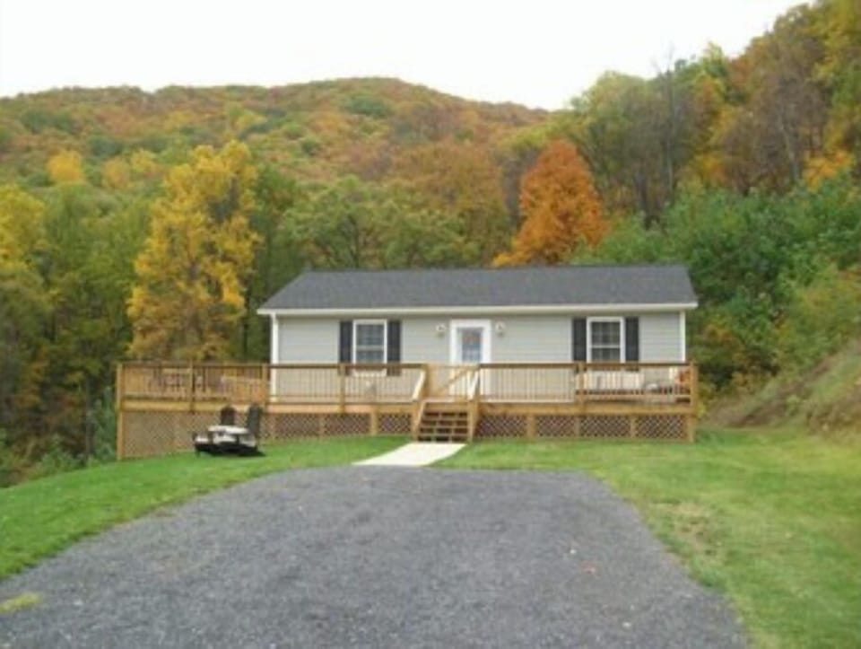 Fall view