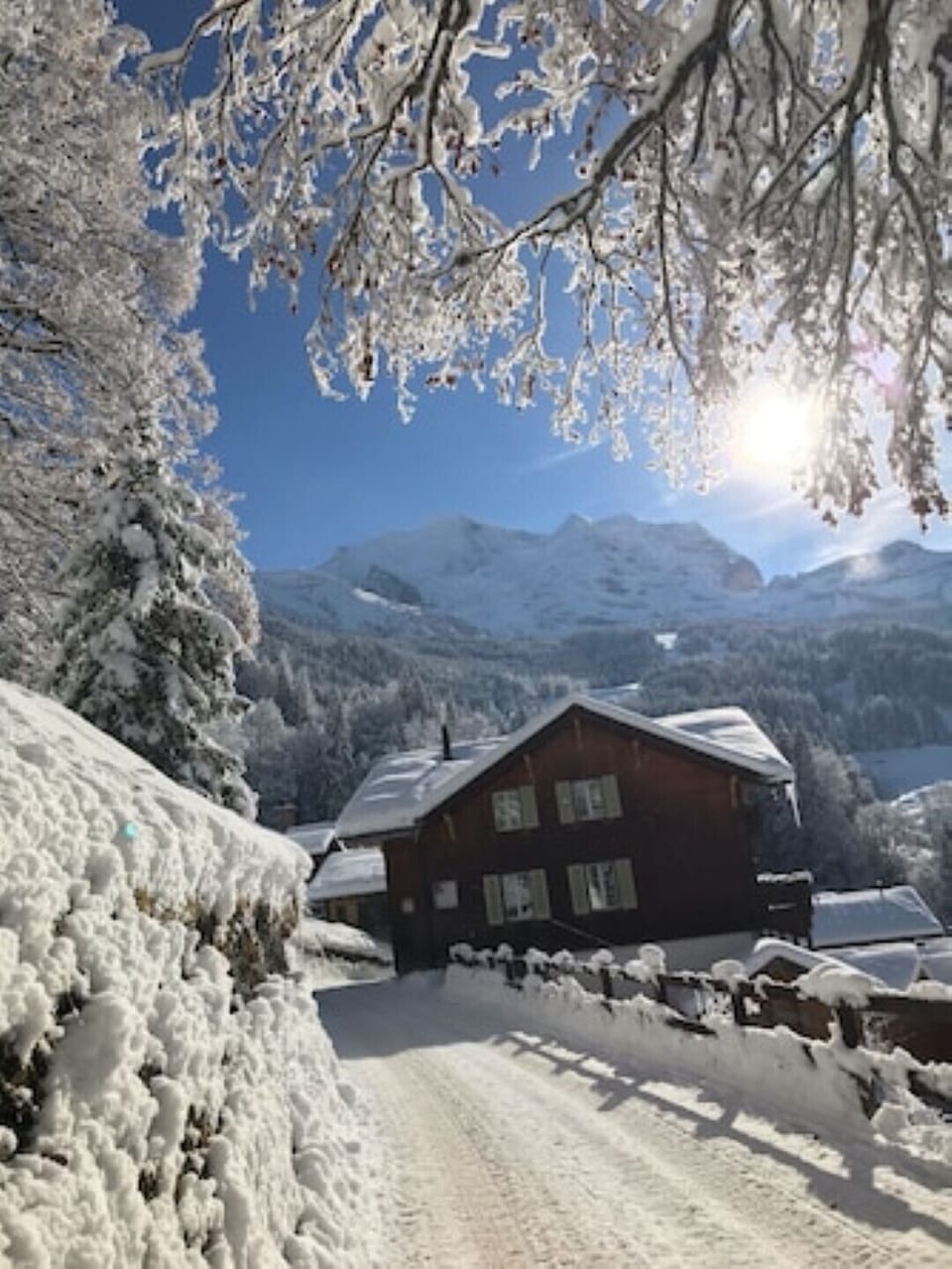 Back view of Chalet Des Alpes . You can see the beautiful views from the picture