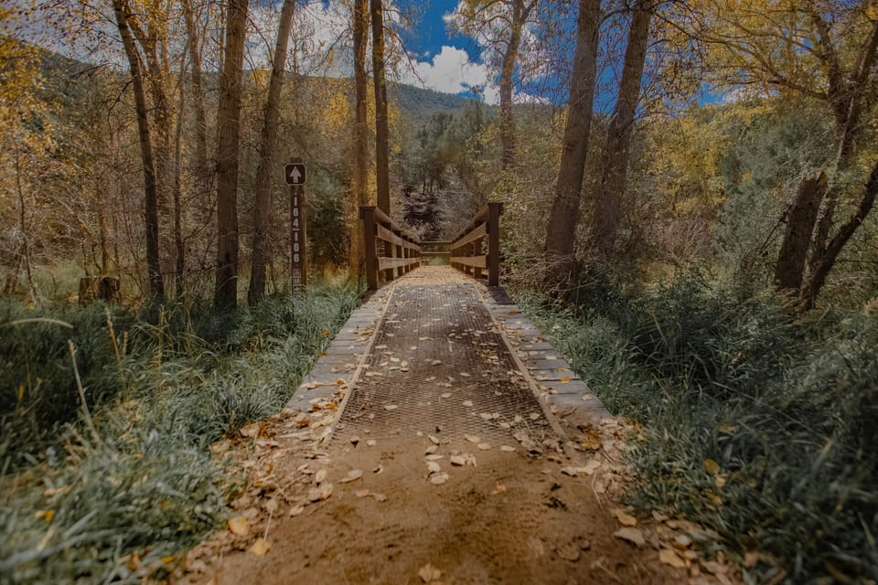 Nature trail Spring