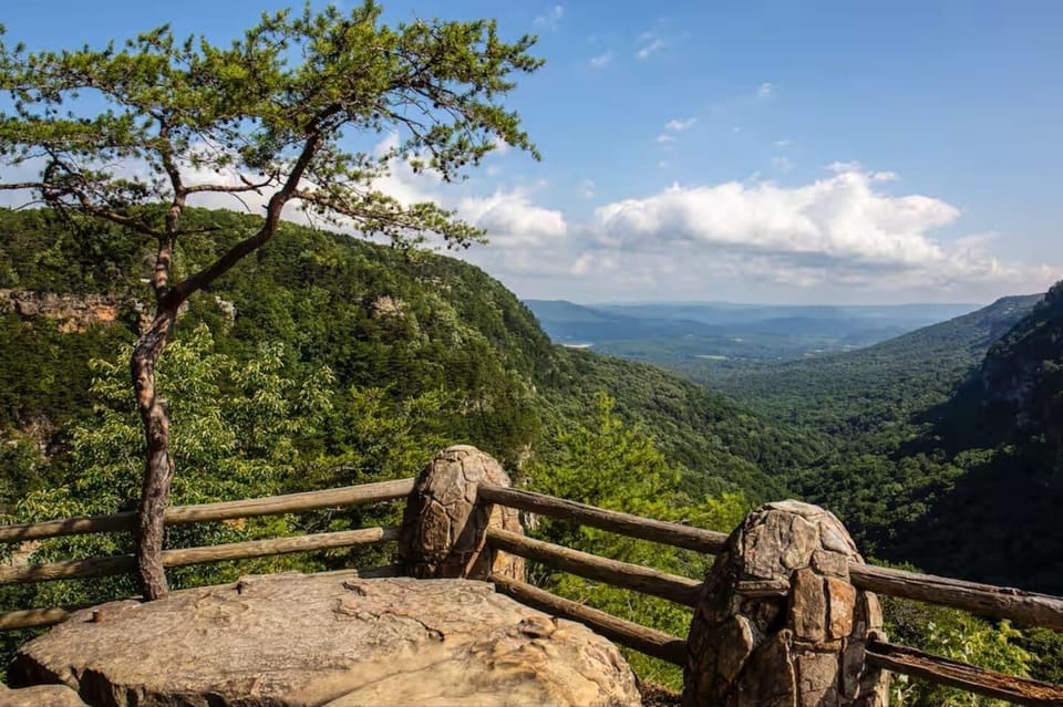 Cloudland Canyon State Park – 30 minutes drive. One of Georgia’s most beautiful parks with sweeping canyon views, waterfalls, and trails — a must-see for hikers and photographers.