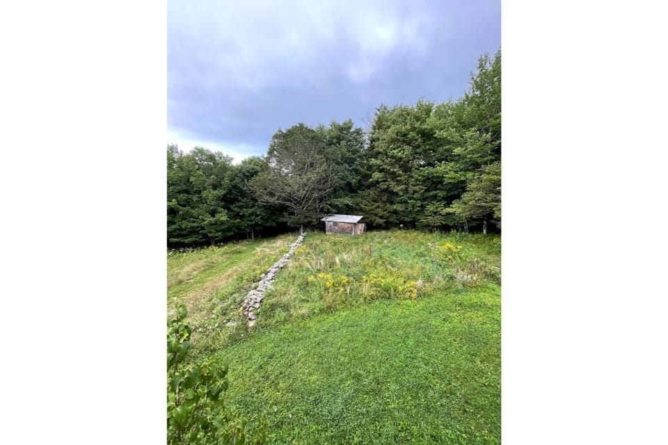 Mountain View Minutes to Hunter/Windham Fast Wifi House in Capital District, NY, USA