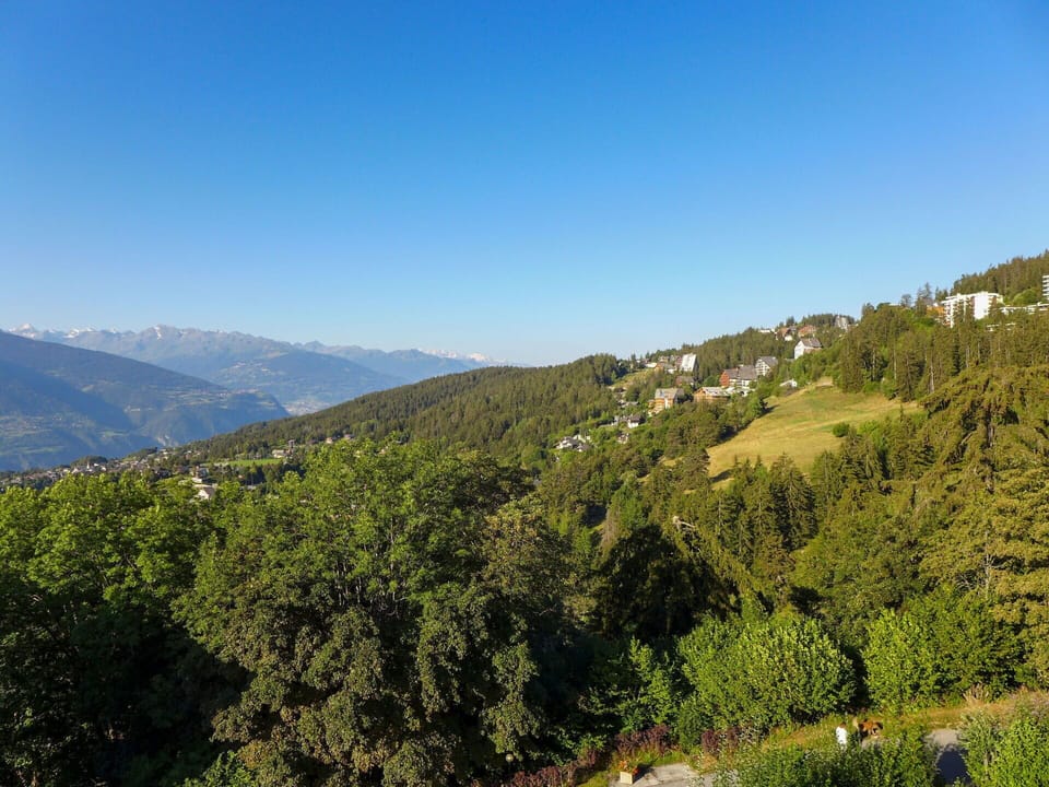 Sky, Plant, Plant Community, Mountain, Ecoregion, Natural Landscape, Cloud, Highland, Slope, Vegetation