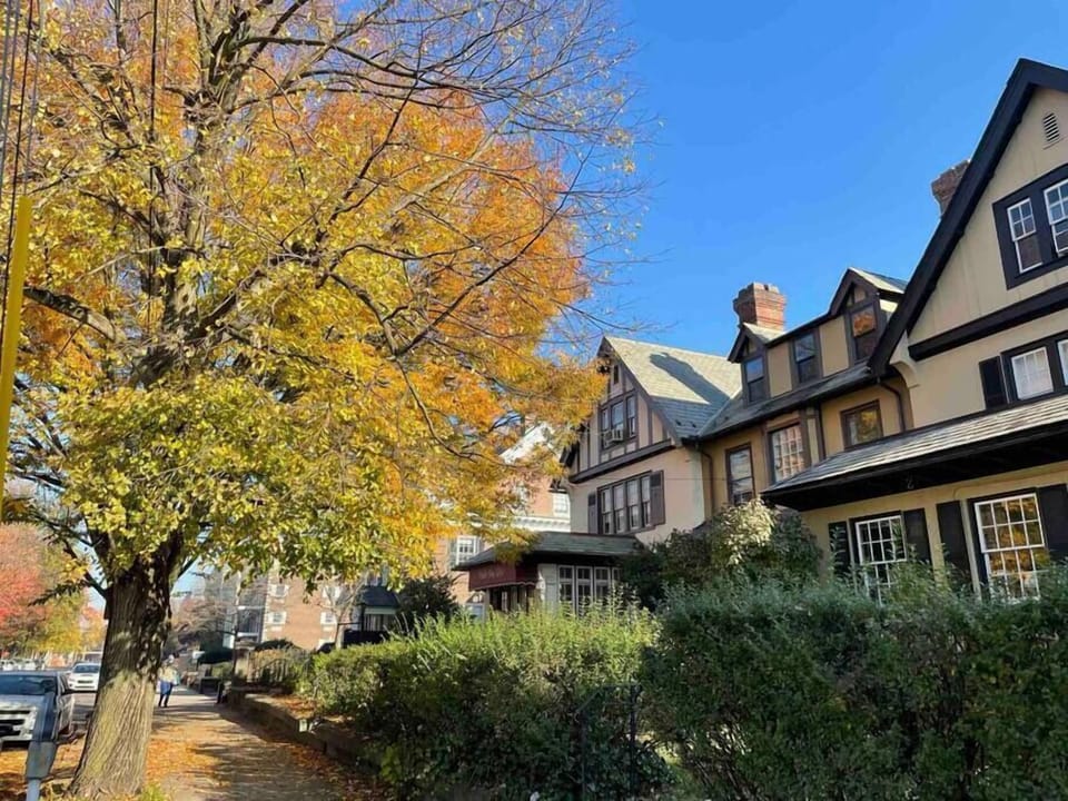 Mature Trees & Scenic City Streets