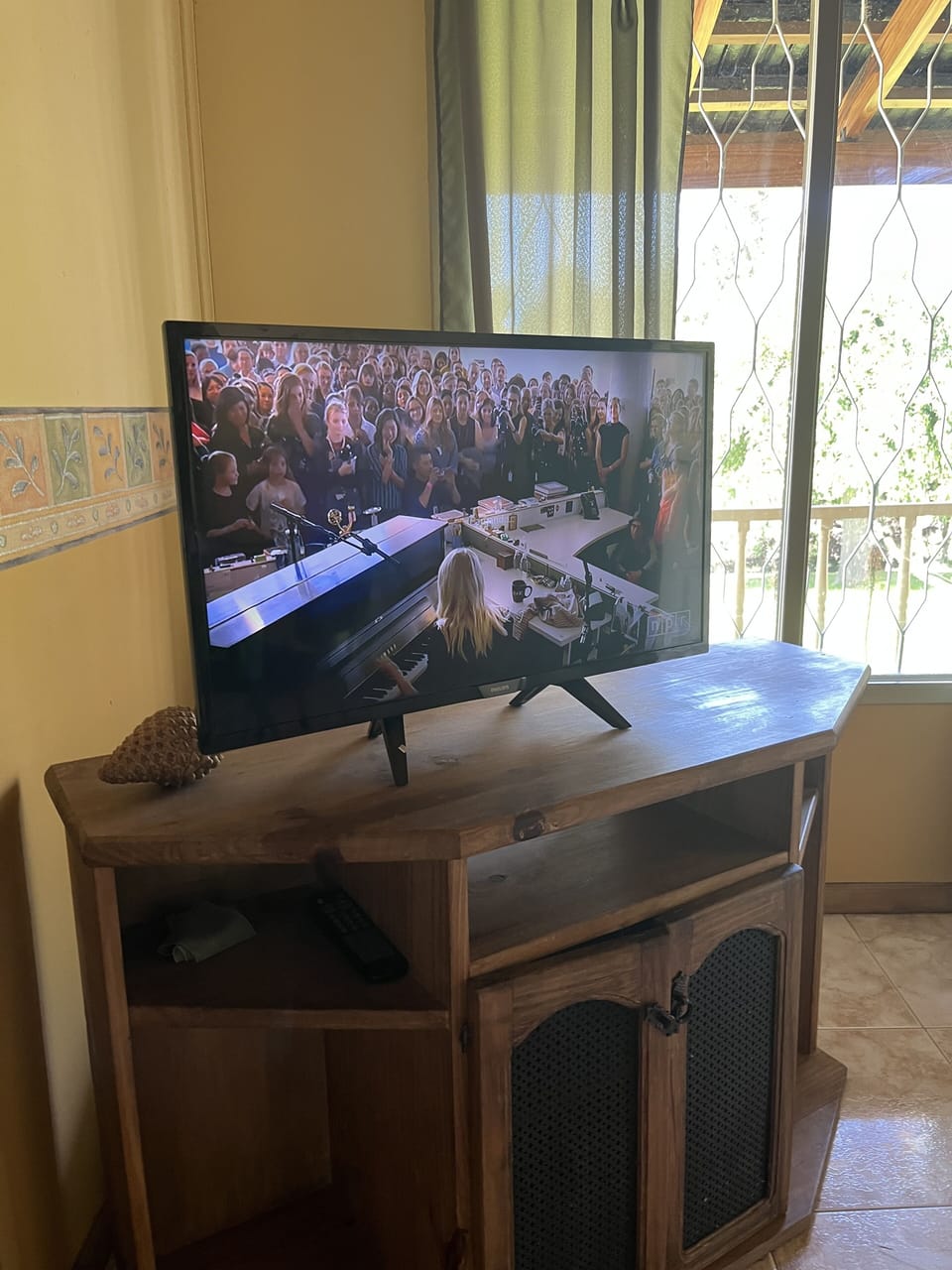 Television