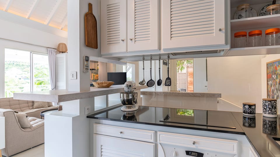 Oven, microwave, full size fridge, wine cooler, dishwasher, induction stove.