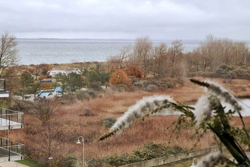 View / Balcony