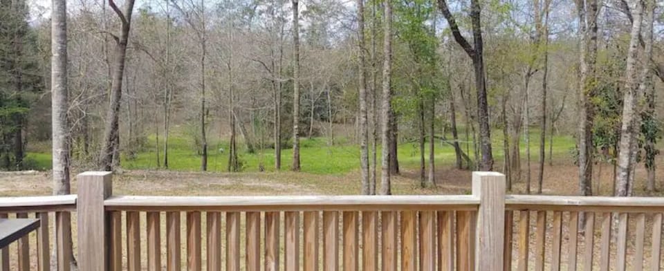 Additional view of the back yard