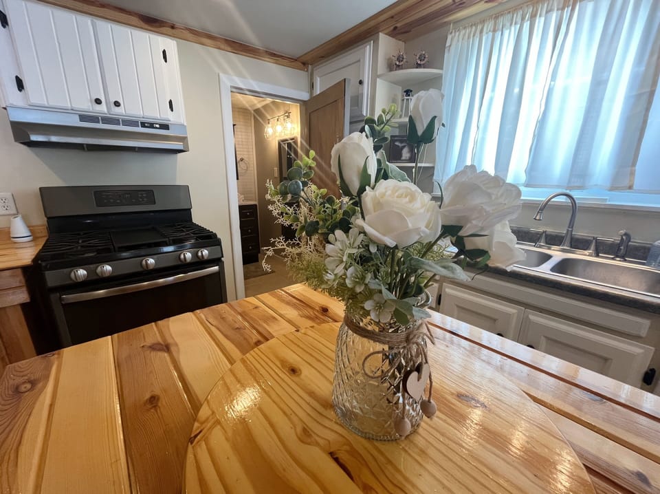 Kitchen, complete with fridge, oven/stove and dishwasher.