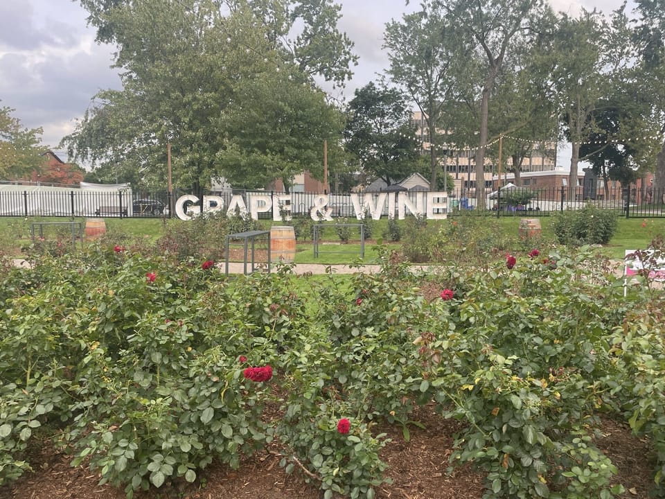 Niagara Wine festival across the street in Montebello Park