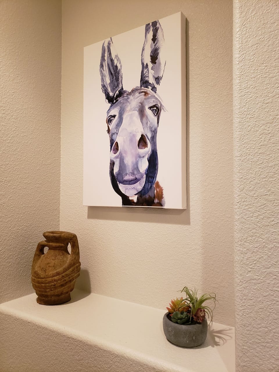 The Burro!