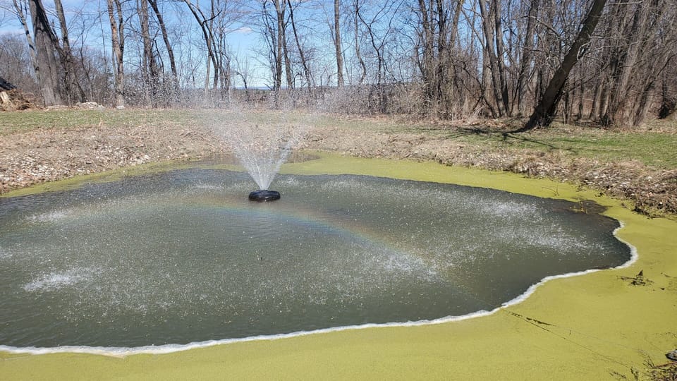 Pond in the front yard during Fall season