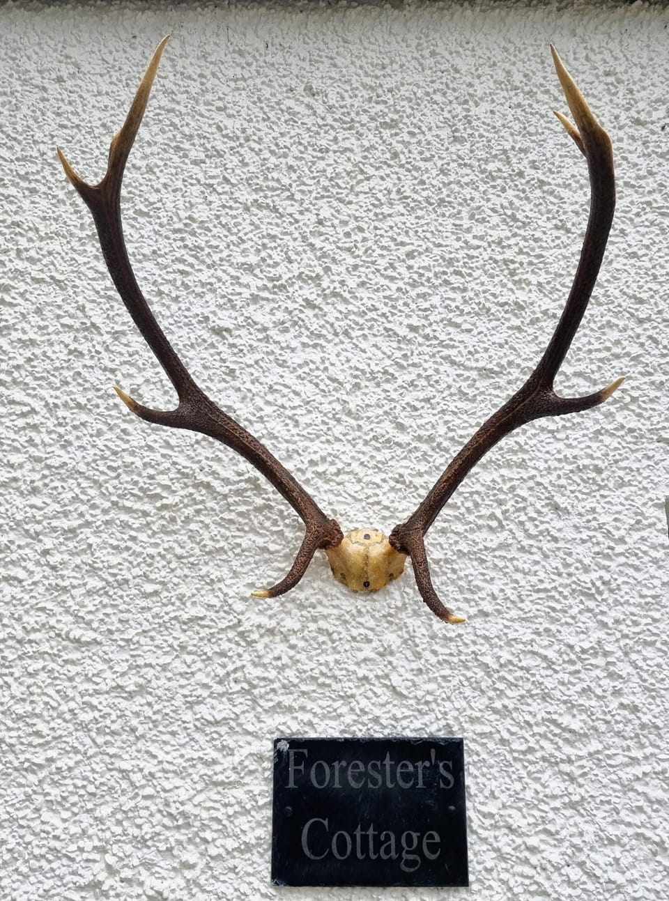 Front door of Foresters