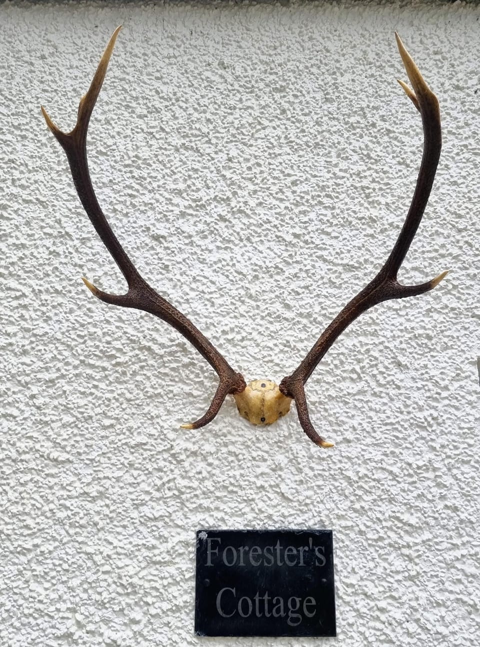 Front door of Foresters