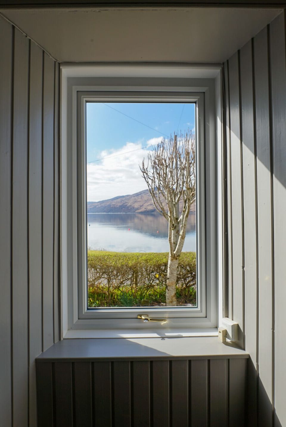 The view from the living room window. 