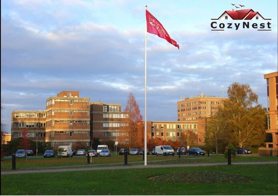 Reading University