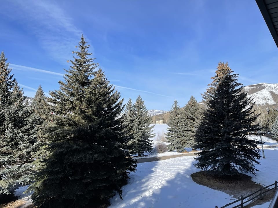 View from property