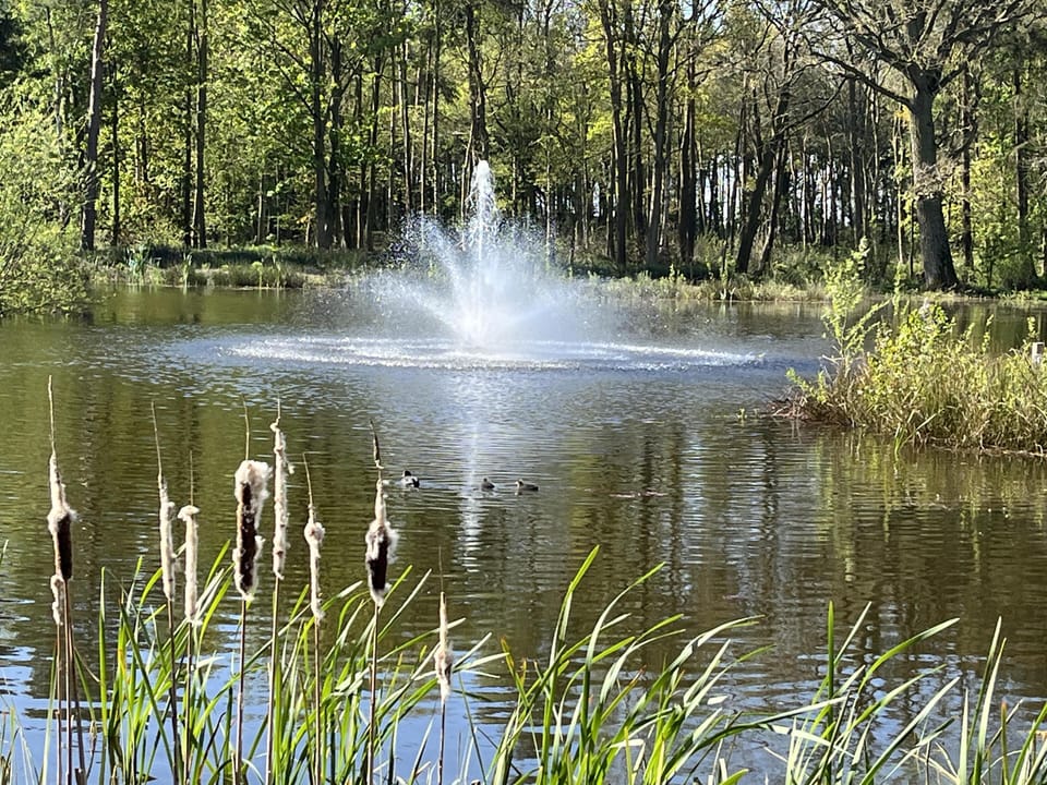 Image 33