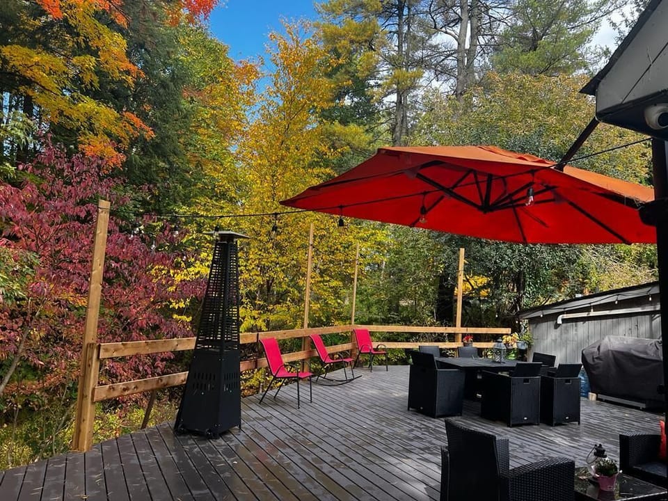 Patio furnitures, bbq, patio heater, electrical bug repellent 