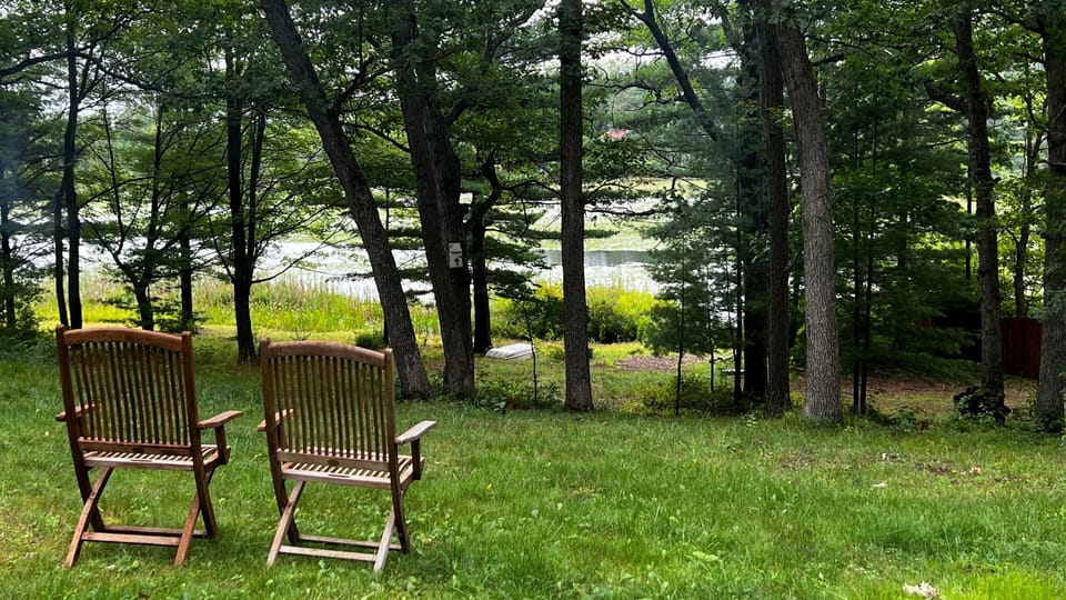 Enjoy gorgeous views in the back yard. 