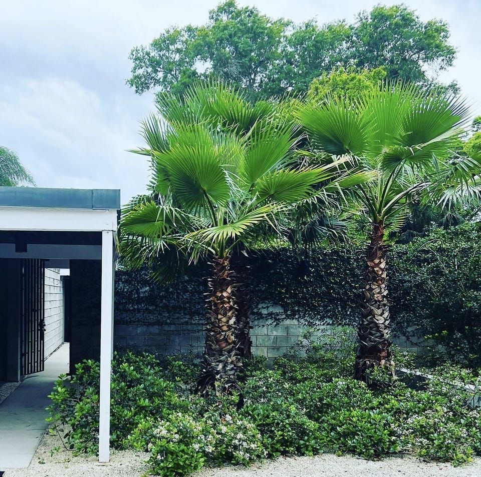 Entry courtyard and carport