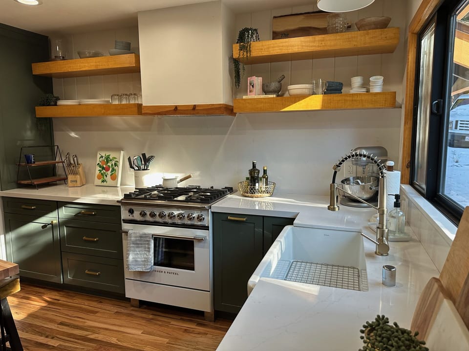 Fisher and Paykel Oven