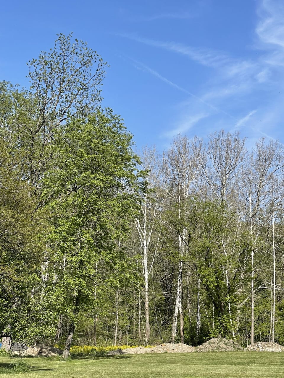 Wooded area with creek for fishing ~ native trout and brown trout are stocked. 