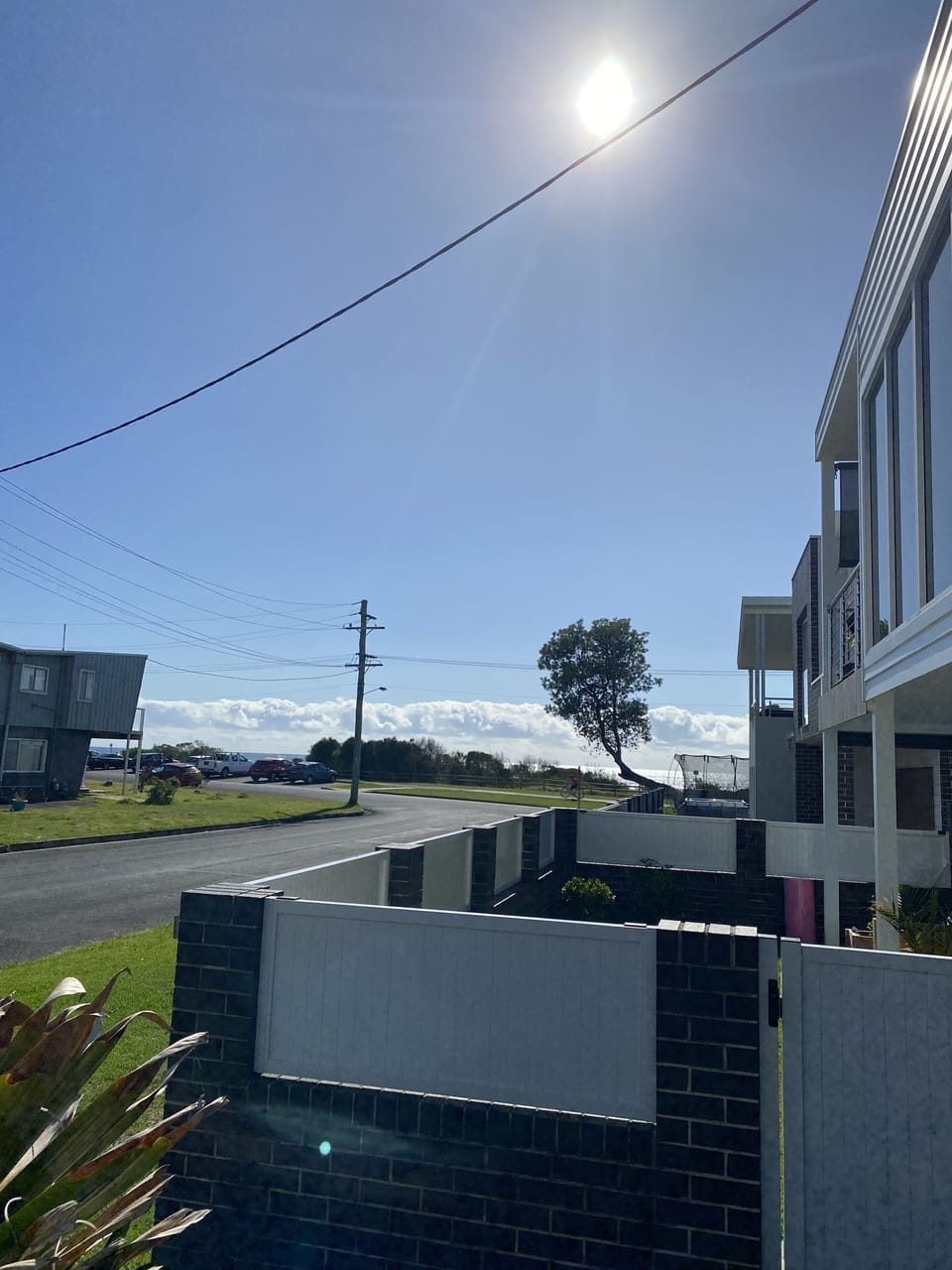 View from garden to Woonona beach