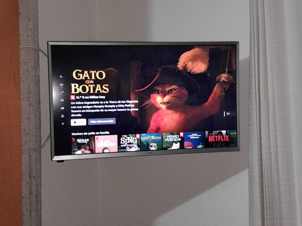 Television