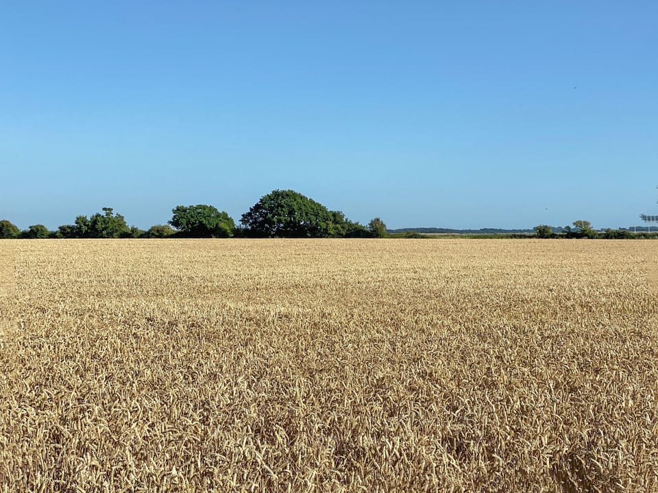 Surrounding area | The Cabin, Nutbourne, near Chichester