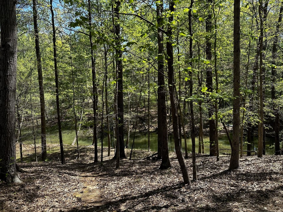 The cove is gorgeous from the back deck. Deer stroll through almost every day!