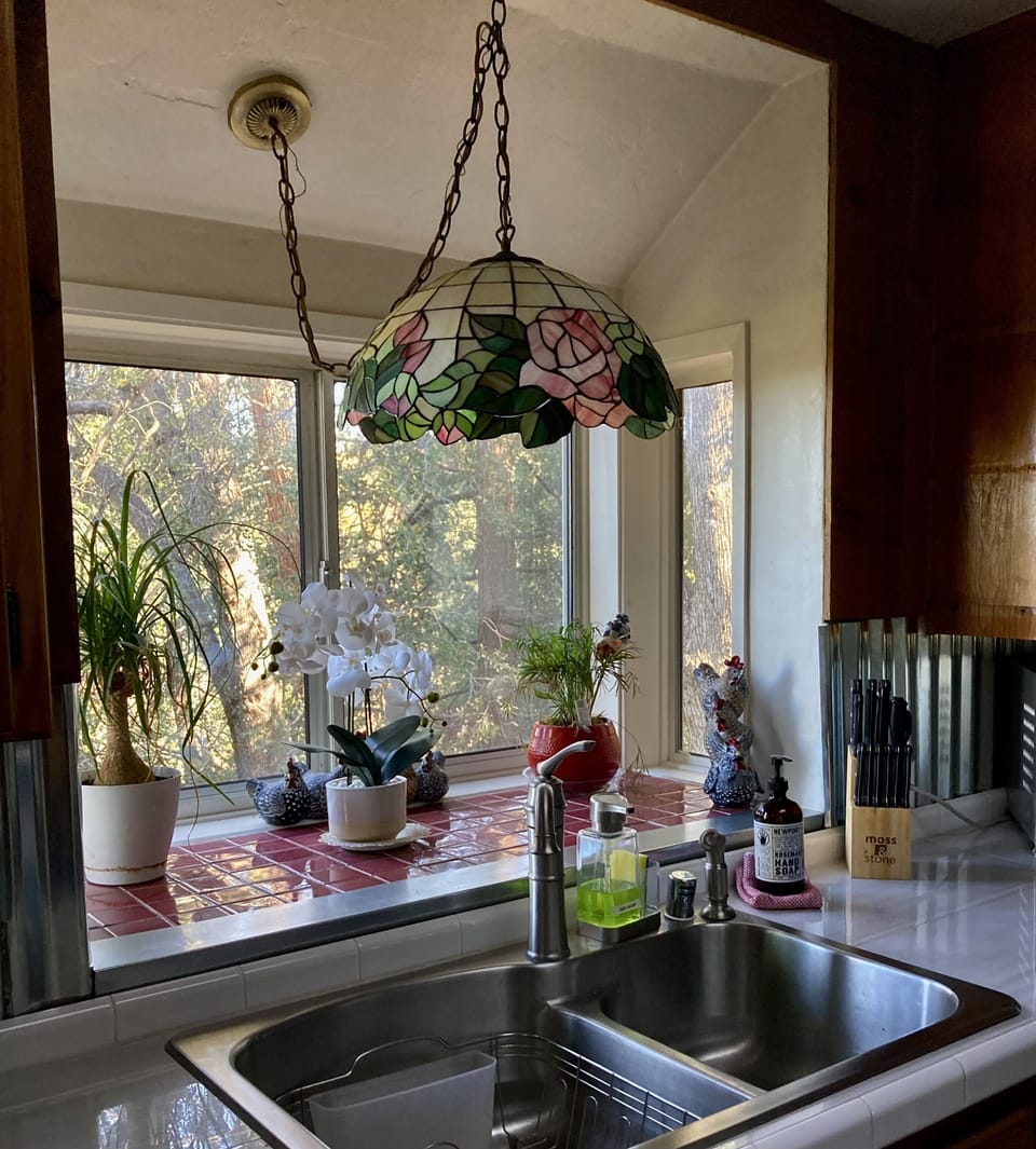 Love a kitchen window with a view