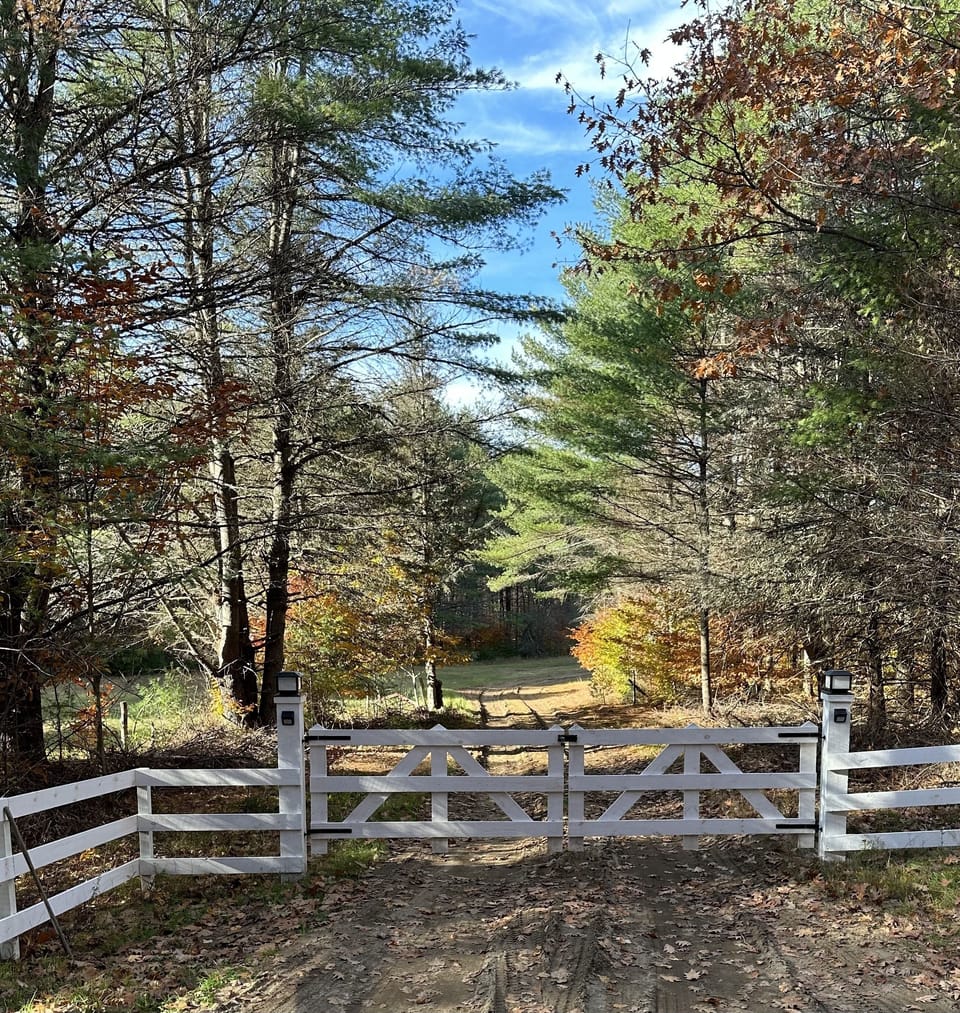 Gateway to the airstrip