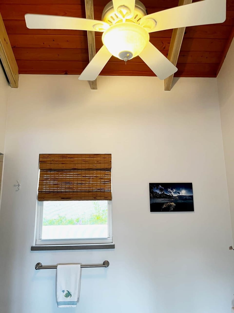 turtle room bath (2)