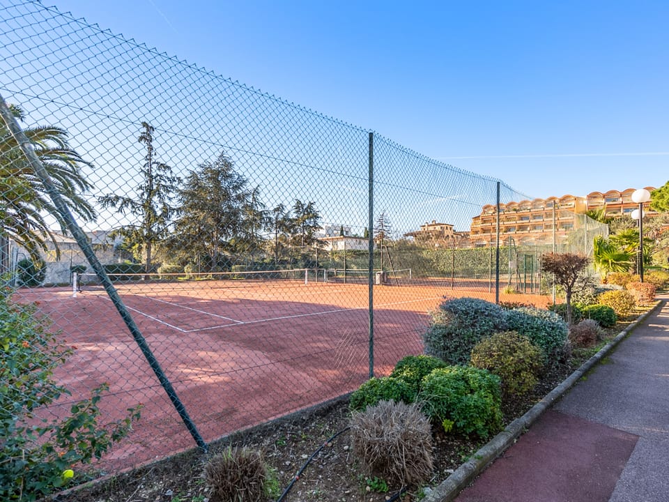 Sport court