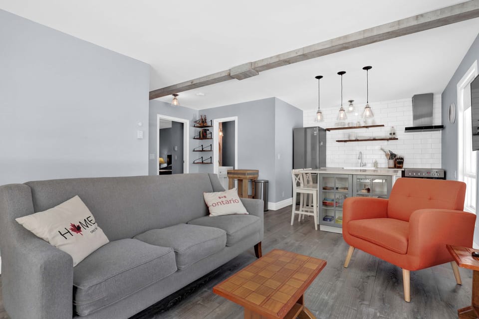 Living room and kitchen