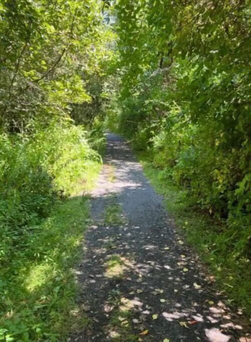 Private walking path to beach 